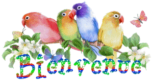 Gif animé bienvenue oiseaux